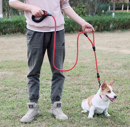 Double Handle Leashes